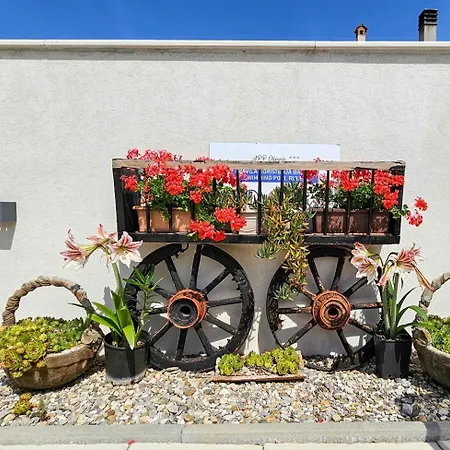 Olimpia 2 Apartmán Novigrad Istria