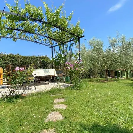 Apartment Olimpia 2 Novigrad (Istria)